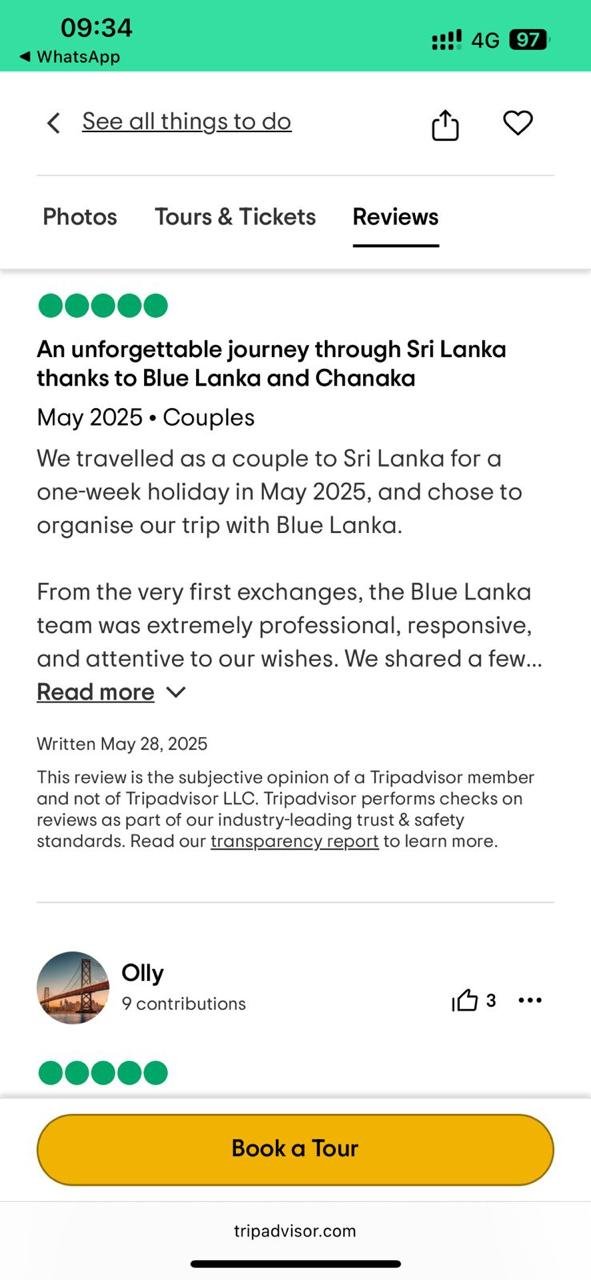 TripAdvisor Guest Review