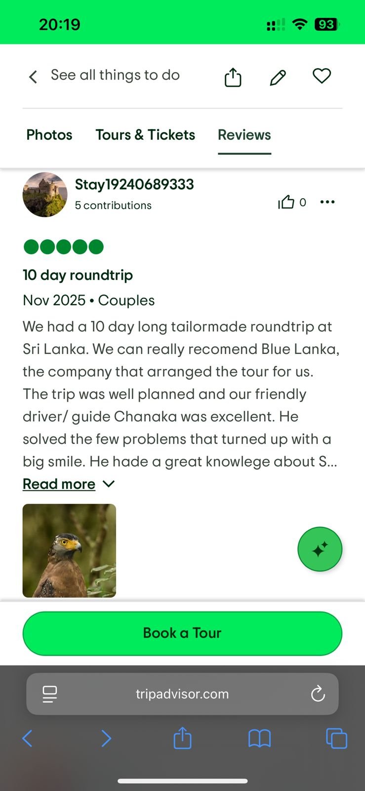 TripAdvisor Guest Review
