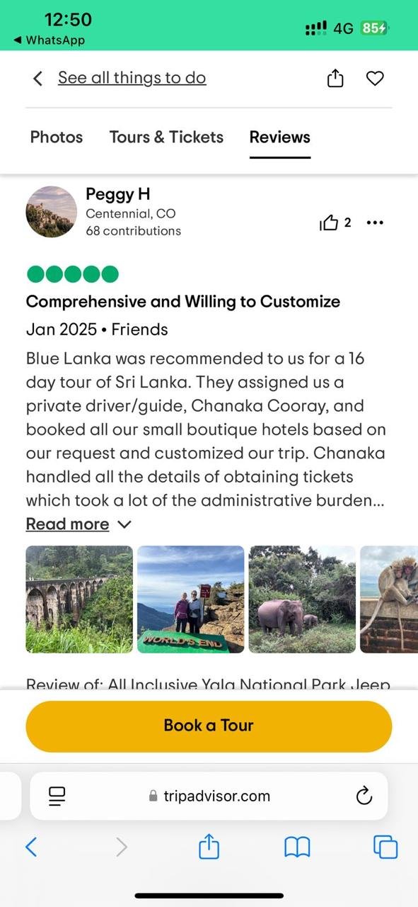 TripAdvisor Guest Review
