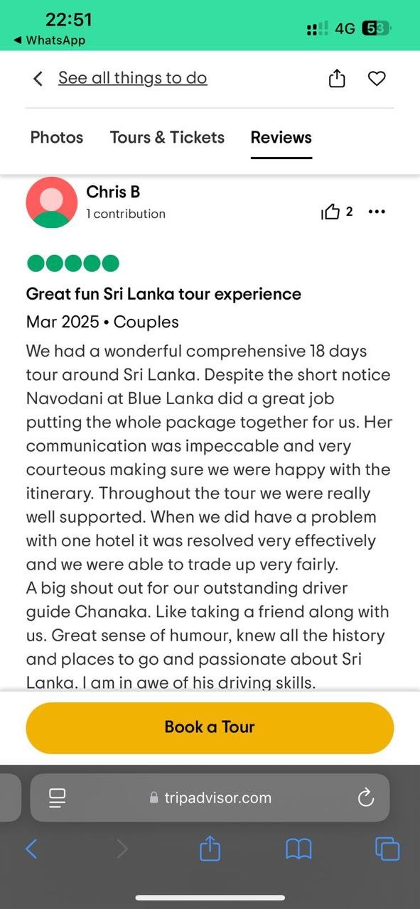 TripAdvisor Guest Review